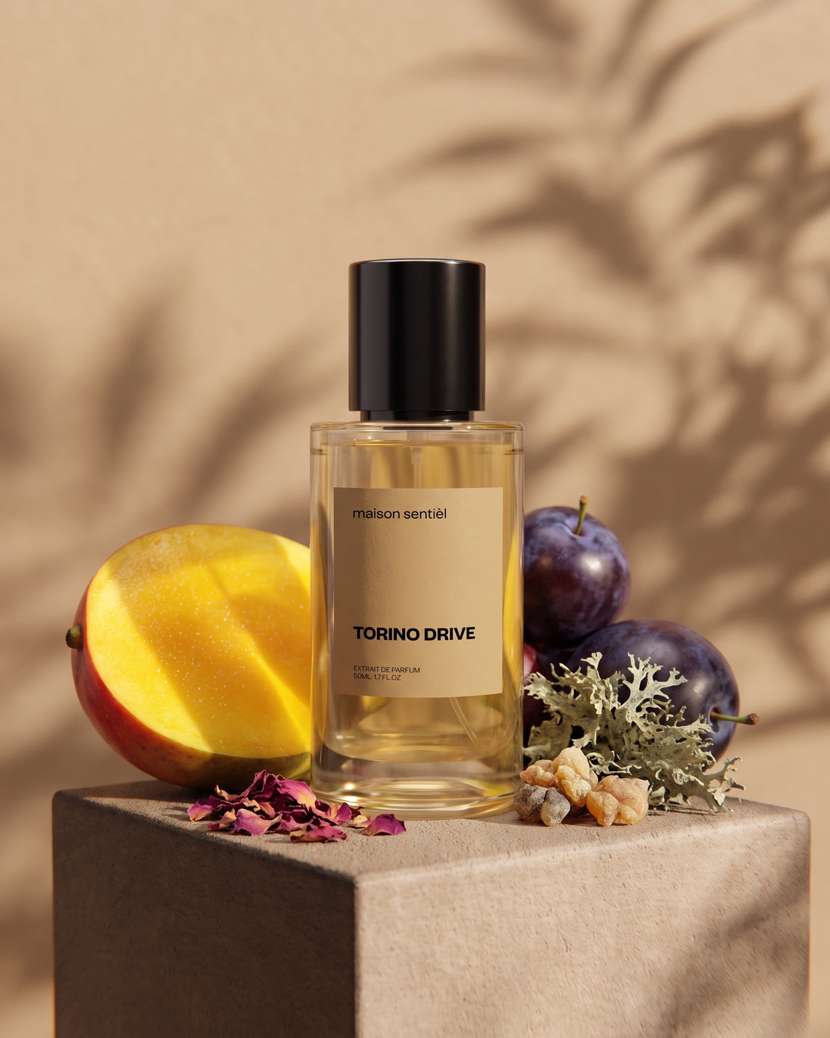 Torino Drive Extrait de Parfum von maison sentièl mit Mango, Pflaumen und Blüten